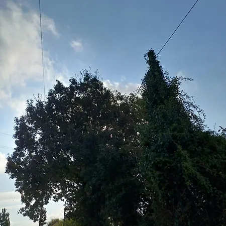 Quinta Da Pera Rocha Back Too Nature Oda ve Kahvaltı *