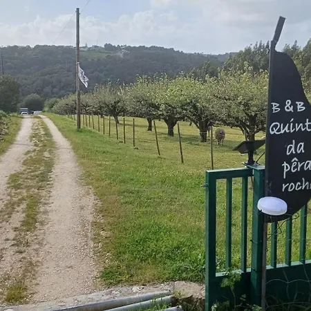 Quinta Da Pera Rocha Back Too Nature Panzió