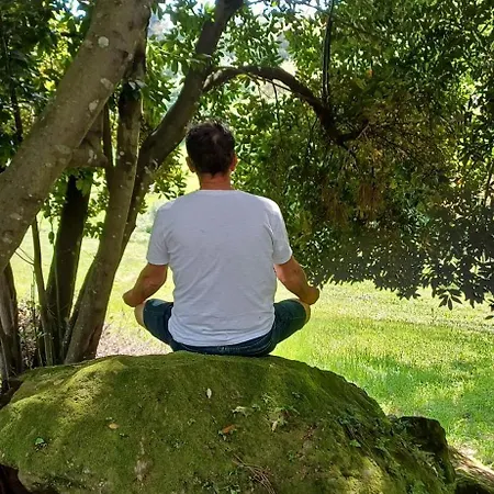 Quinta Da Pera Rocha Back Too Nature Oda ve Kahvaltı *